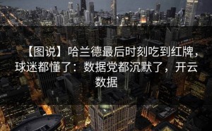 【图说】哈兰德最后时刻吃到红牌，球迷都懂了：数据党都沉默了，开云数据