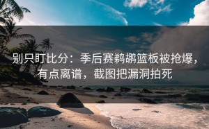 别只盯比分：季后赛鹈鹕篮板被抢爆，有点离谱，截图把漏洞拍死