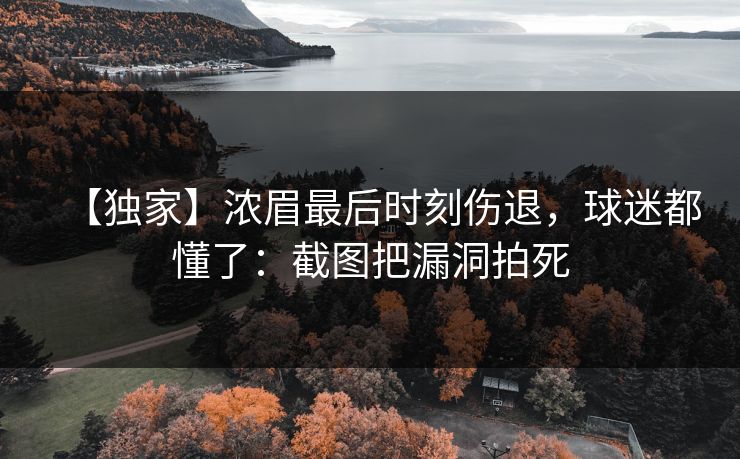 【独家】浓眉最后时刻伤退，球迷都懂了：截图把漏洞拍死
