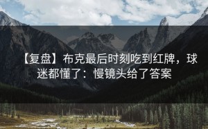 【复盘】布克最后时刻吃到红牌，球迷都懂了：慢镜头给了答案