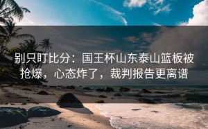 别只盯比分：国王杯山东泰山篮板被抢爆，心态炸了，裁判报告更离谱